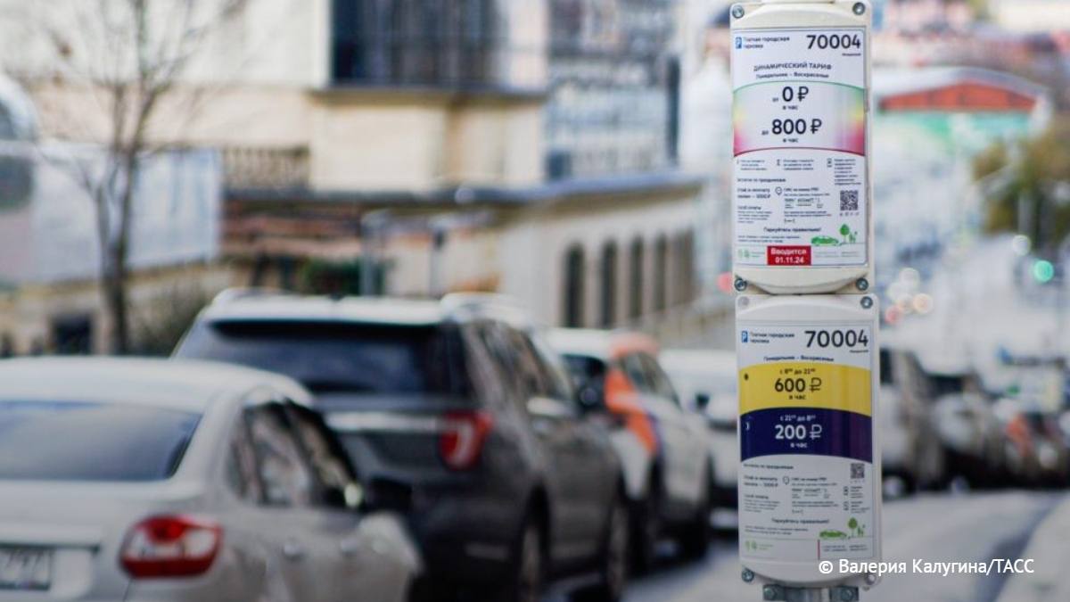 Татьяна 2/IMG_8910.jpeg